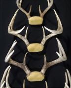 Antler Mount - Deer Leather