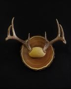 Choice of 3 colors of Leather