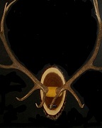 Elk Antler Mount - Oval Panel