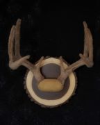 Velvet Antler Mount