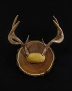 Wrapped in Deer Leather