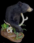 Black Bear Mount - Custom Base