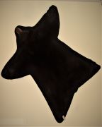 Black Bear Rug