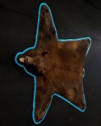 Brown Bear Rug -150 Pound Bear