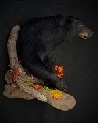 New Style - Half Mount