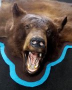 Open Mouth - Bear Rug