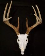 45 Angle Ghost Hanger 