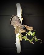 Displaying Ruffed Grouse
