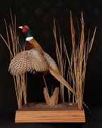 Pedestal Pheasant