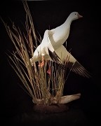 Catail Snow Goose Pedestal