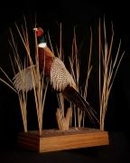 Ringneck Pheasant