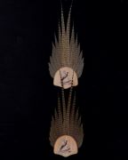 Ringneck Pheasant