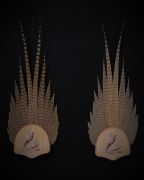 Ringneck Pheasant